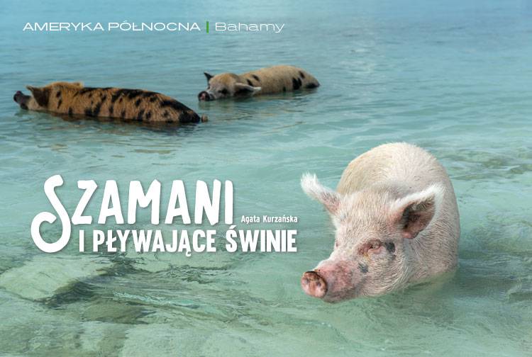 Artykuł: Szamani i pływające świnie